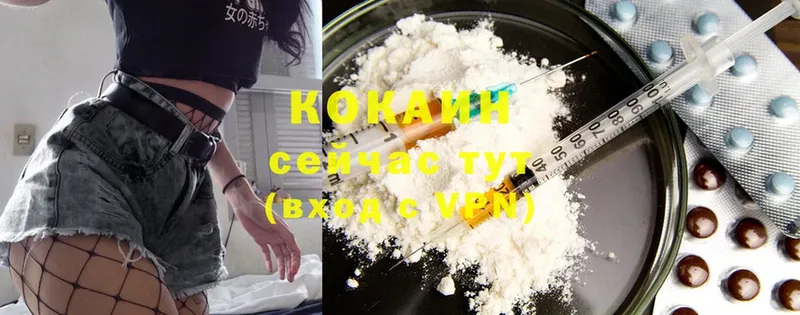 MEGA ссылка  Россошь  Cocaine FishScale  где продают наркотики 